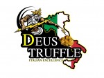 Logo 1